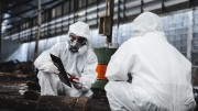 VDSZ működési területén dolgozó műszakosok kérdőíve
